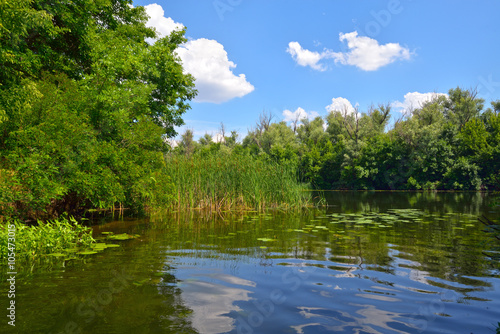 Sunny day on the river