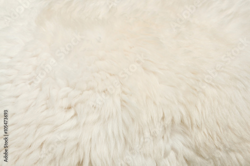 White fur background