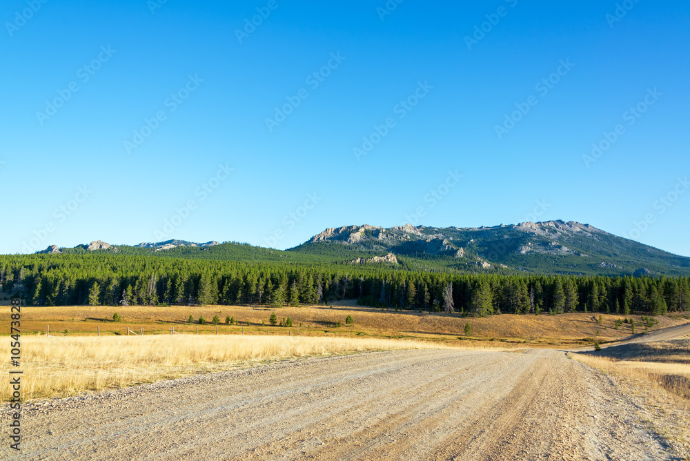 Dirt road with Bighorn Mountain Range and forest near Buffalo, Wyoming