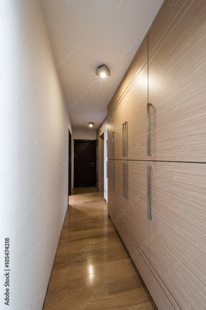 Corridor modern bathroom with wooden door