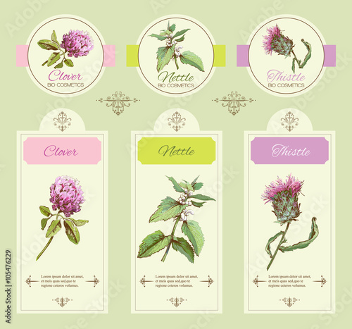 Vector vintage banners with wild flowers and medicinal herbs. Design for cosmetics, store, beauty salon, natural , organic health care products.