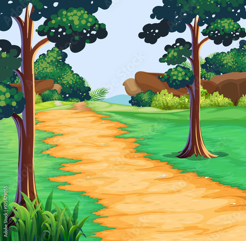 Nature scene with tree along the trail