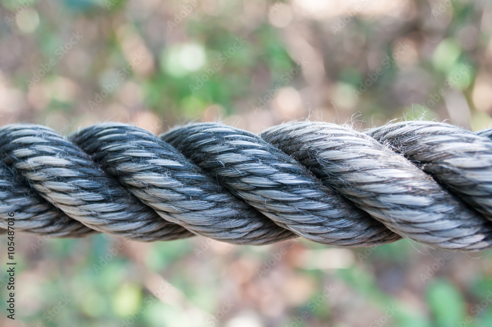 Fototapeta premium Thick rope