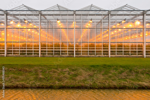 Принти на полотні Exterior of commercial glasshouse
