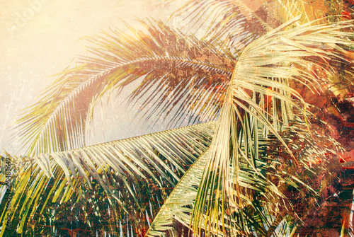 Palm Branches Sun Light Tropical Holiday Travel Design