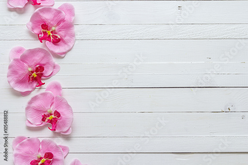 Background with flowers pink orchid on painted wooden planks. Pl