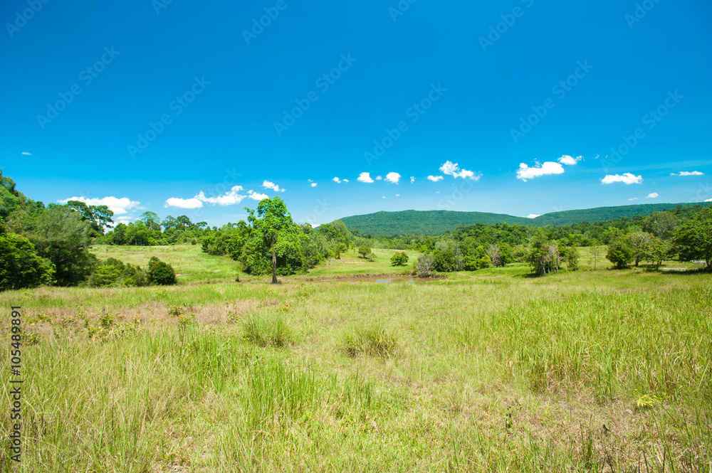  savanna landscape at Khaoyai National Park ,Thailand