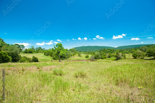  savanna landscape at Khaoyai National Park  Thailand