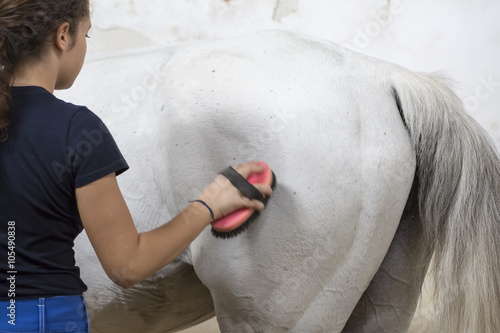 Fototapeta Naklejka Na Ścianę i Meble -  Woman Grooming a Horse in Ranch