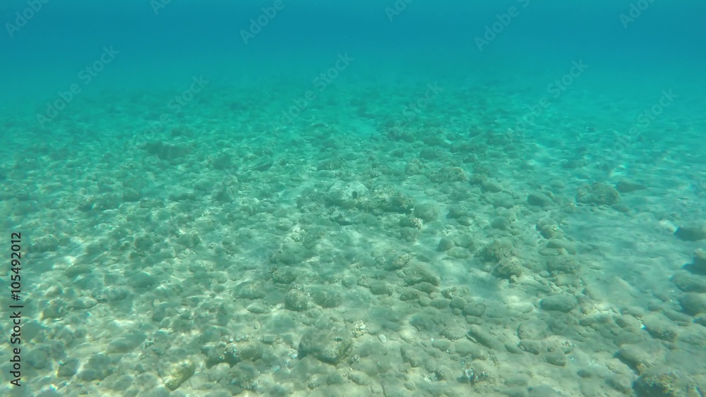 Underwater Underwater