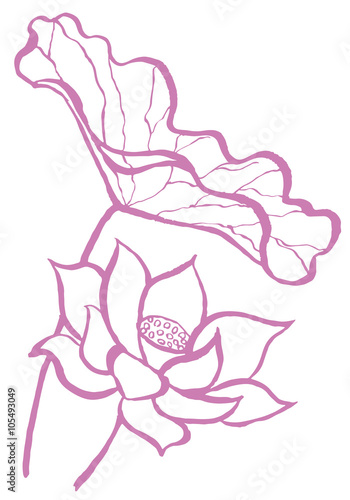蓮の花　手描きイラスト