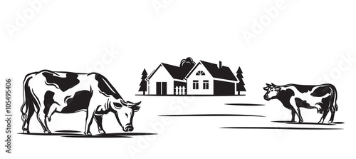 cow and farm