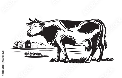 cow and farm
