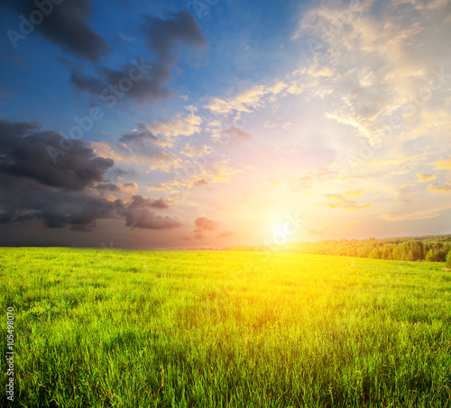 green field and beautiful sunset