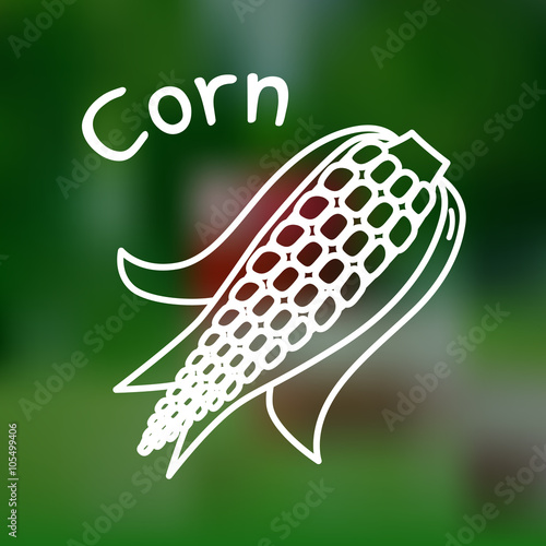 Thin line corn icon