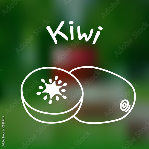 Thin line kiwi icon