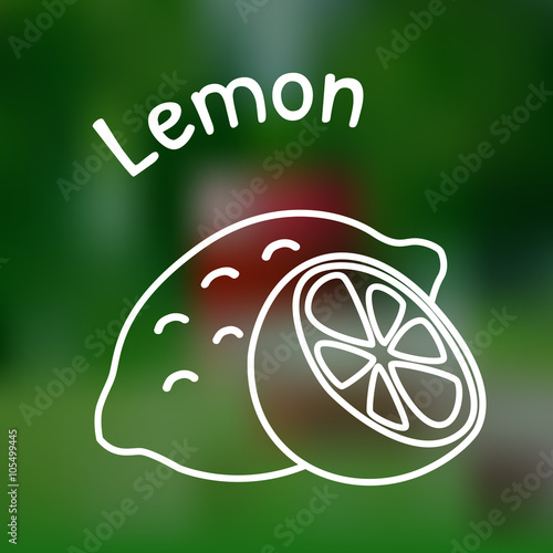 Thin line lemon icon
