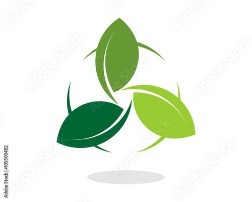 Natural Leaf Cycle