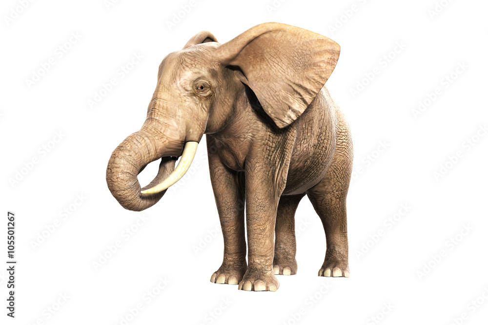 Freigestellter Elefant am Fressen (gerendertes Bild)