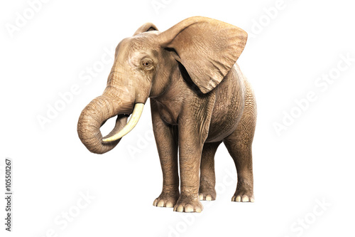 Freigestellter Elefant am Fressen (gerendertes Bild)