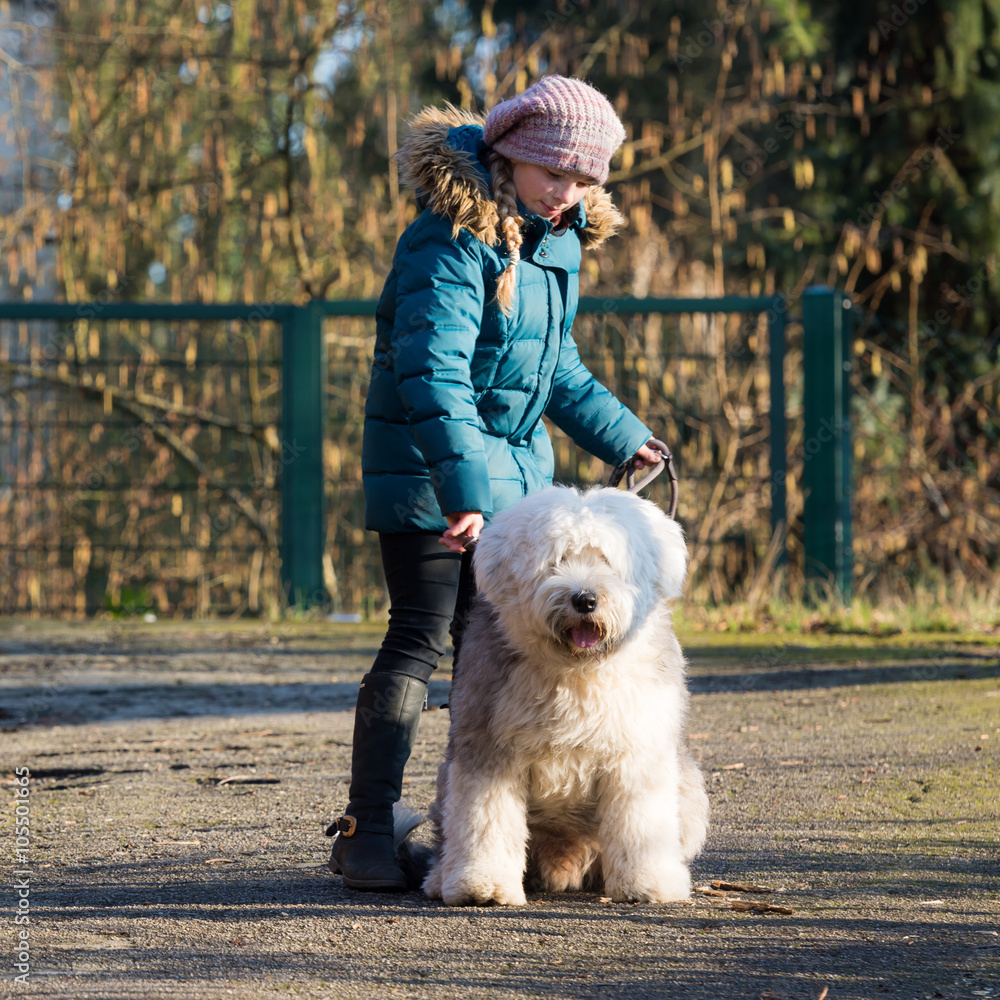 mädchen geht mit bobtail spazieren mädchen geht mit bobtail spazieren