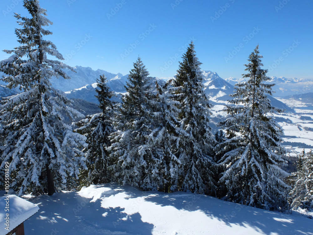 Winterlandschaft in den Alpen