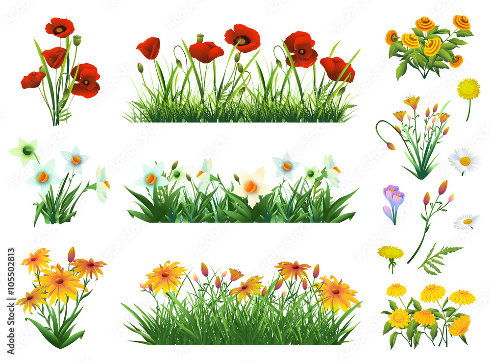 Flowers and grass set of vector elements.