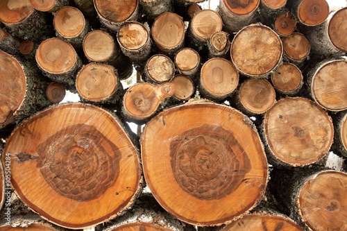 Woodpile of raw timber in winter