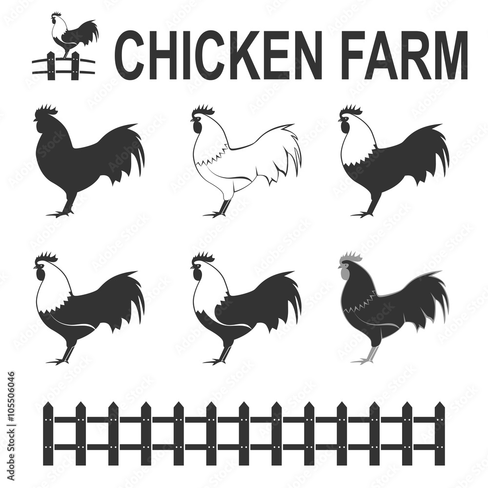 Fototapeta premium roosters set
