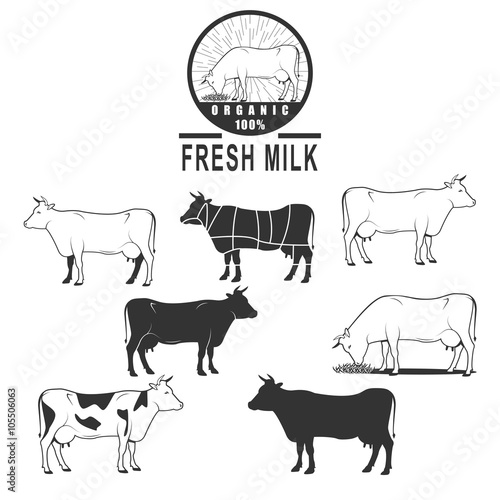 cows set