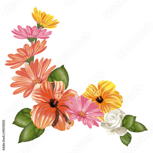 Fototapeta Naklejka Na Ścianę i Meble -  Composizione fiori 4