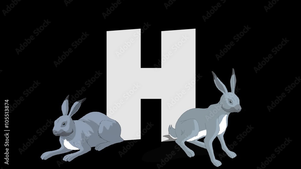 Letter H and Hare (foreground) Animated animal alphabet. HD footage ...