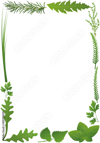 Herbs vertical frame. Isolated vector illustration on white background.