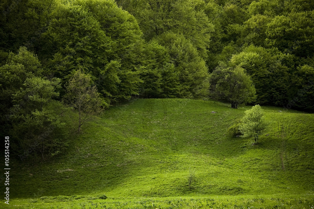 Beautiful landscape Beautiful landscape