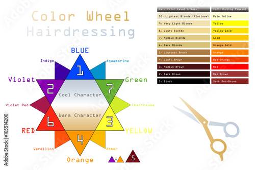 Color Wheel Hairdressing