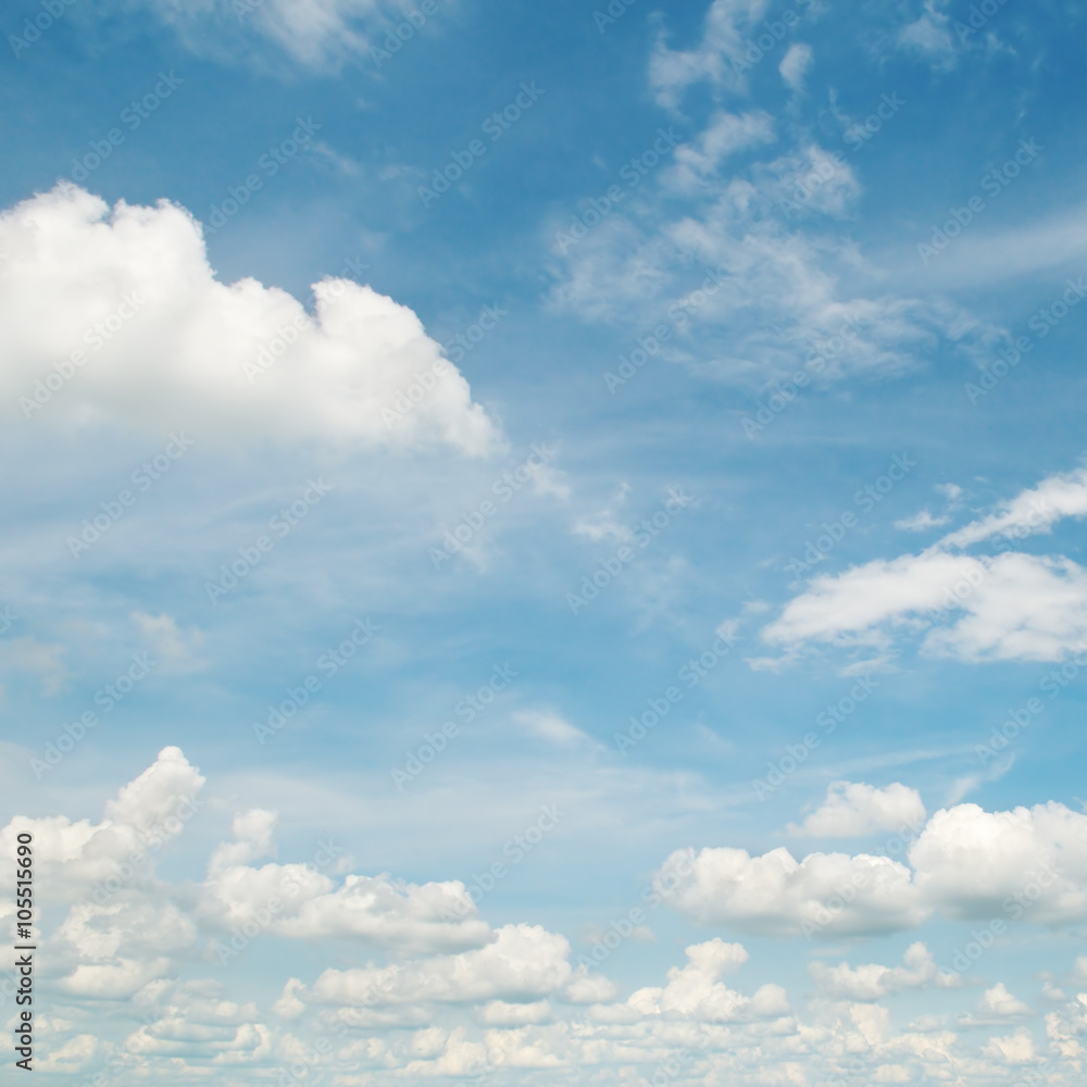 Fototapeta premium white fluffy clouds