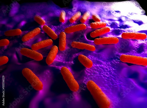 bacteria photo