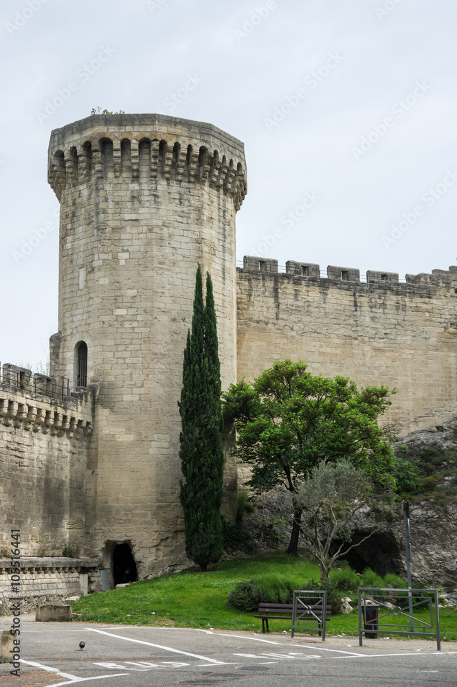 Fortress wall in Avignon