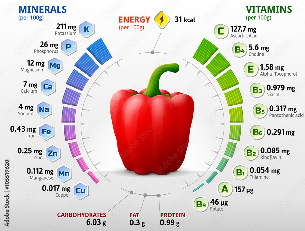 Vitamins and minerals of red bell pepper. Infographics about nutrients