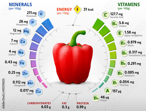 Vitamins and minerals of red bell pepper. Infographics about nutrients in capsicum fruit. Qualitative vector illustration about pepper, vitamins, vegetables, health food, nutrients, diet, etc