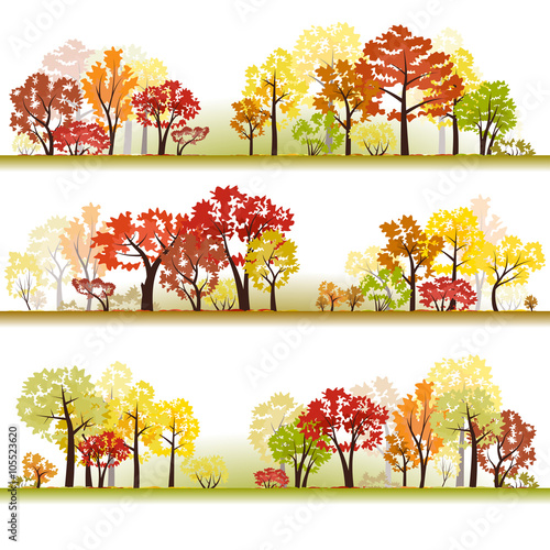 Forest. Samples 4. Late autumn. Fall. Defoliation.