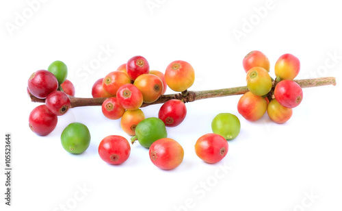 fresh coffee beans isolated on white background