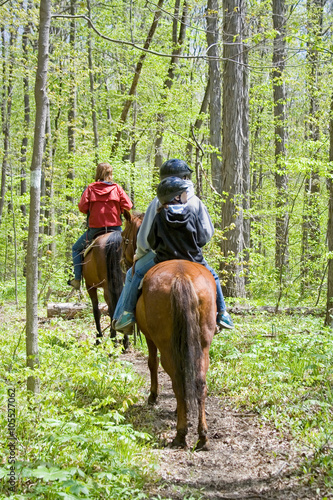 Horseback Riding in the Forest – A family rides their horses in the forest. One adult and two children. © Cathleen