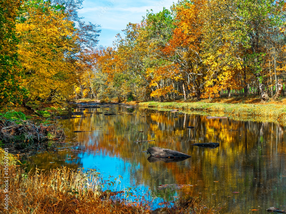 Autumn Creek Reflections