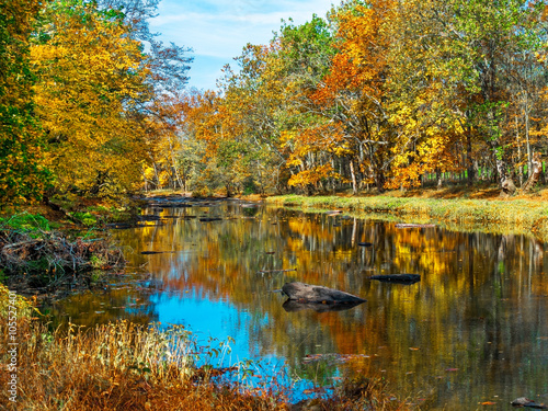 Fototapeta Naklejka Na Ścianę i Meble -  Autumn Creek Reflections