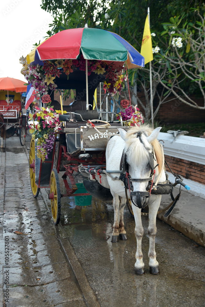 Horse with carriage waiting for passengers in Lampang Province Thailand. Foreign Text Means “City Of Lampang”.