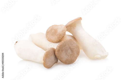 King Oyster mushroom (Eringi) on white backgroud.