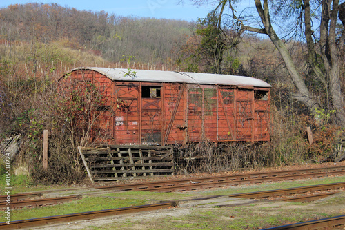 forgotten alone overgrown wagon on the rails