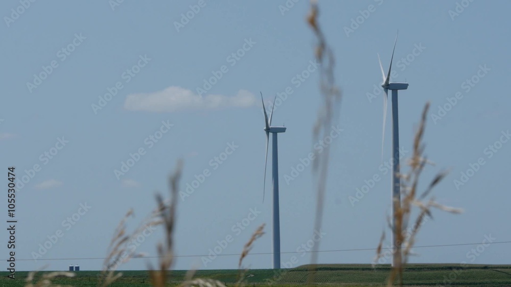 Wind turbines with plant stalks in the foreground Wind turbines with plant stalks in the foreground
