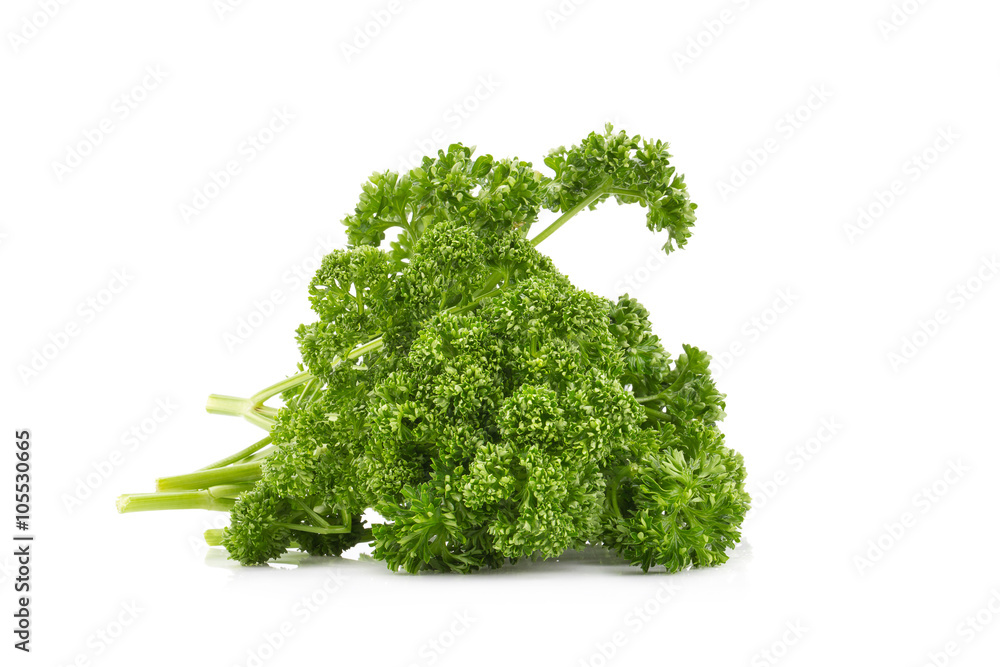 Fototapeta premium parsley isolated on a white background